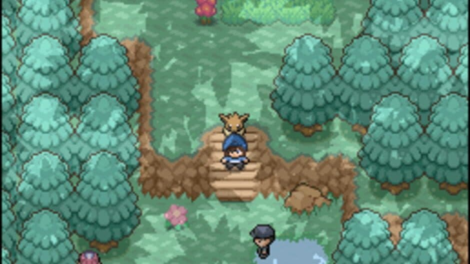 Pokémon Floral Tempus EX screenshot