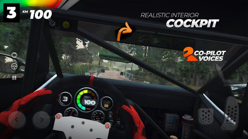 Real Rally screenshot
