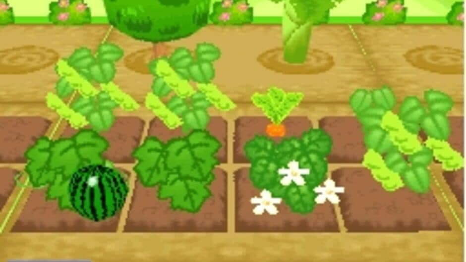 Mamegoma 3: Kawaii ga Ippai! screenshot
