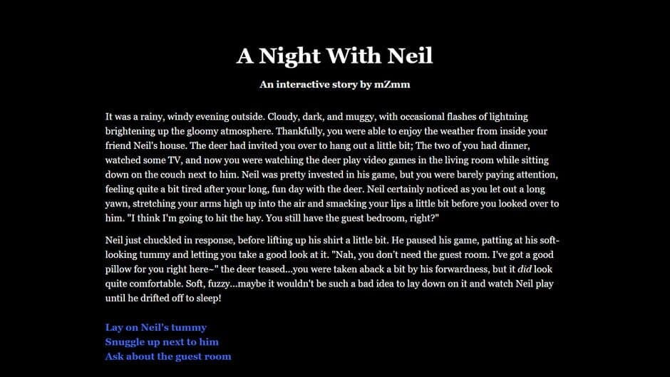 A Night With Neil screenshot