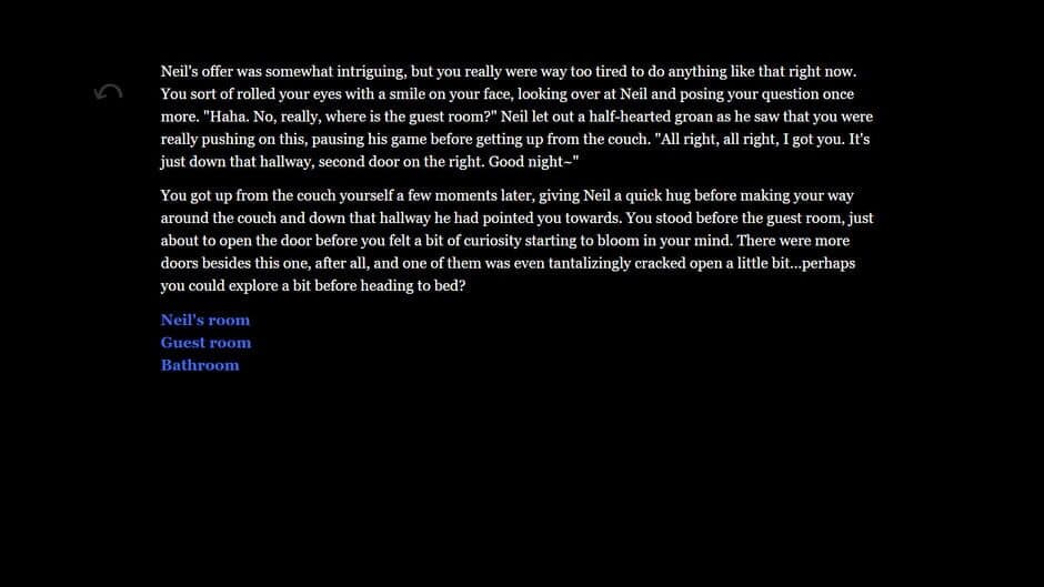 A Night With Neil screenshot