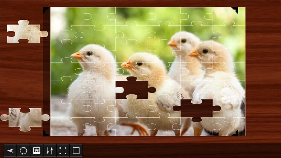 Jigsaw Puzzle World screenshot