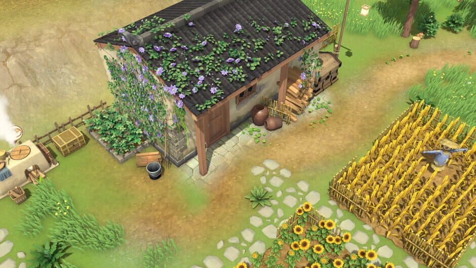 Litchi Town screenshot