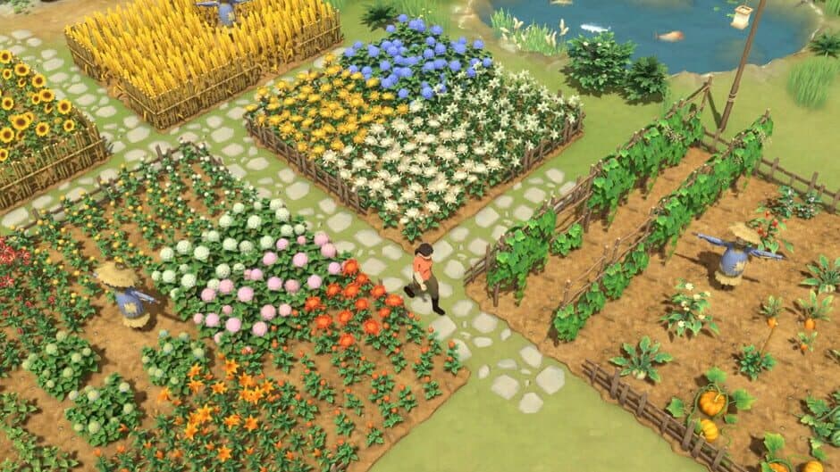 Litchi Town screenshot