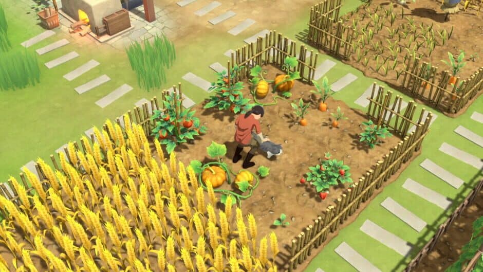 Litchi Town screenshot
