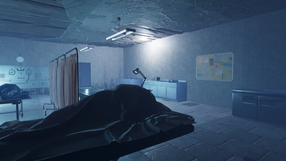 Psychiatric Hospital screenshot