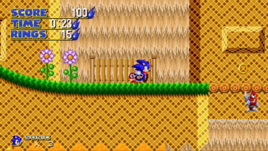 Sonic: Project Survival screenshot