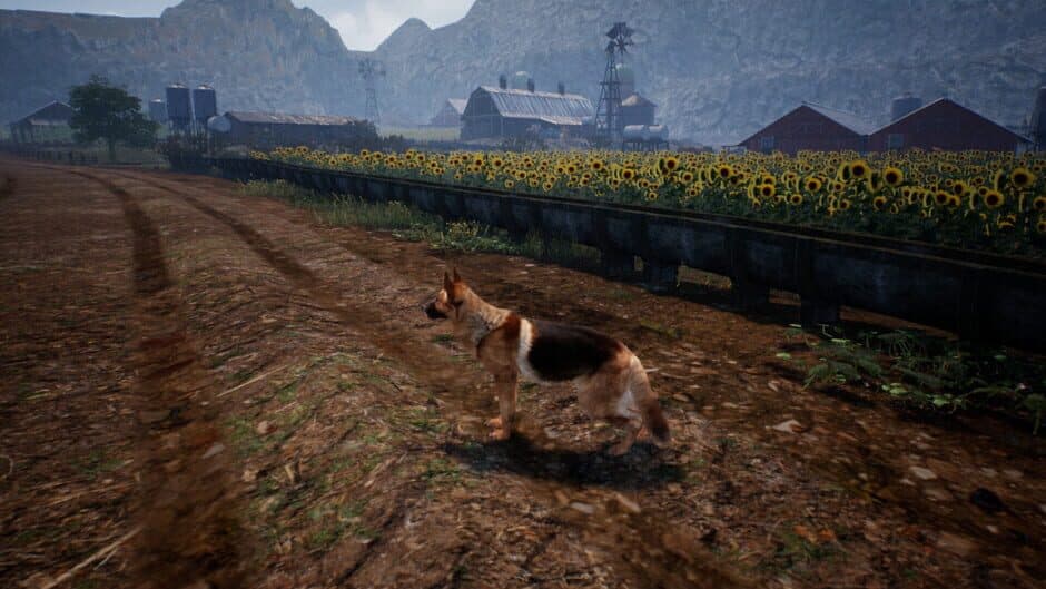 Shepherd Dog screenshot