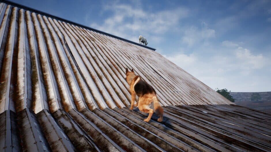 Shepherd Dog screenshot