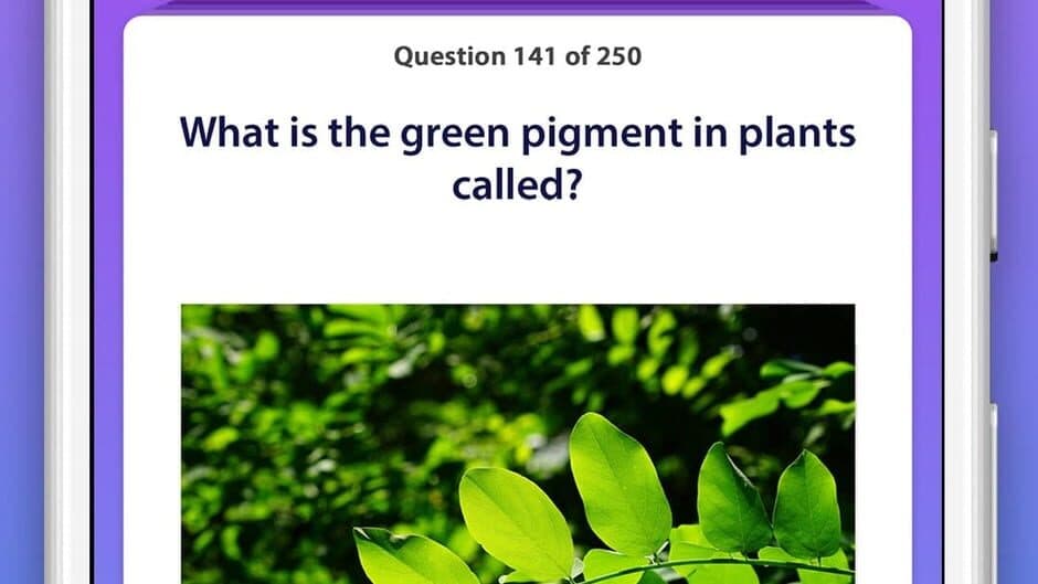 General Knowledge Quiz screenshot