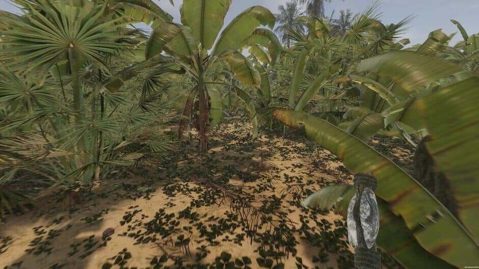 Island Notes screenshot
