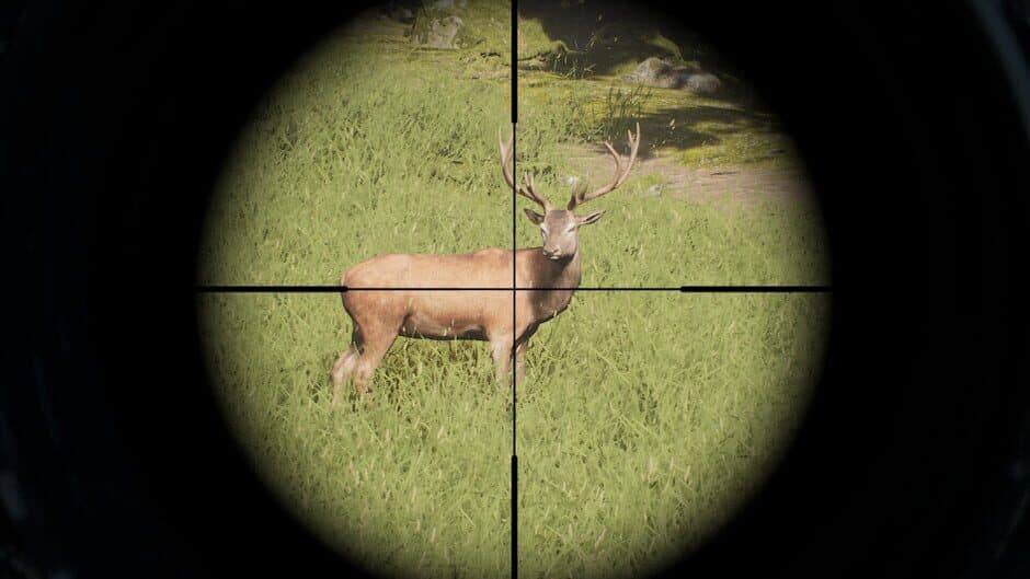 Project Hunt screenshot