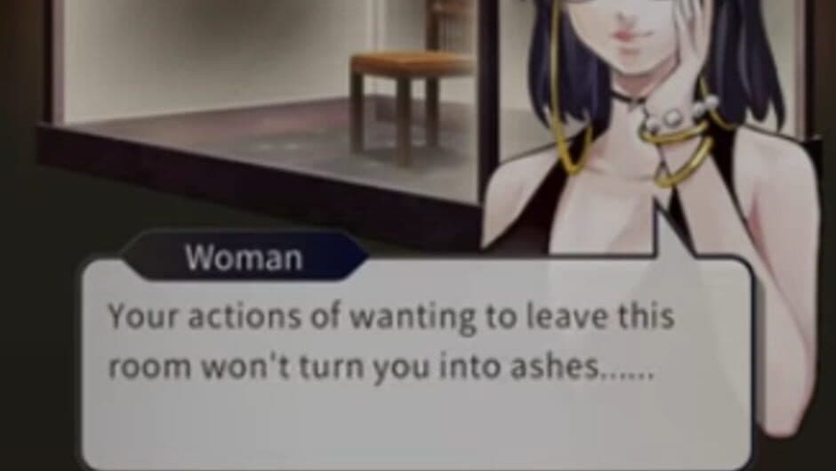 Tokyo Crazy Museum screenshot