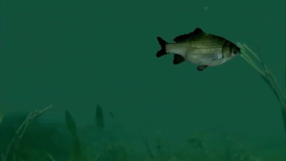 Reel Fishing screenshot