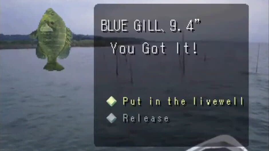 Reel Fishing screenshot