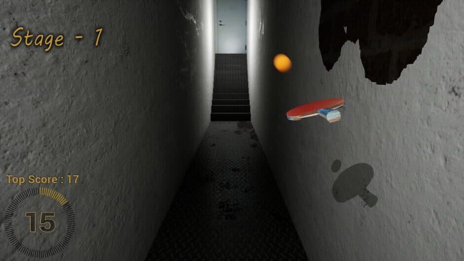 Pinging screenshot