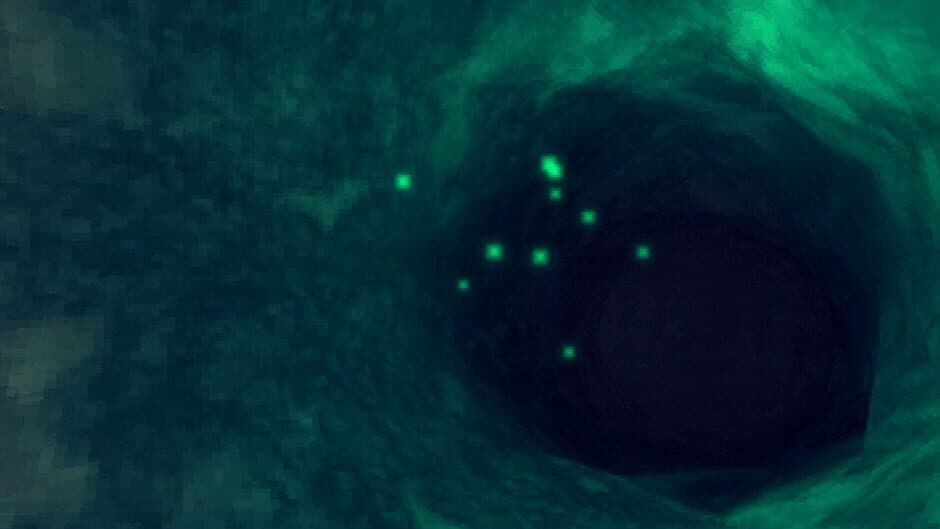 Sprucerio screenshot
