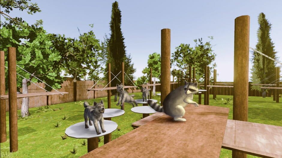 Raccoon Adventure screenshot