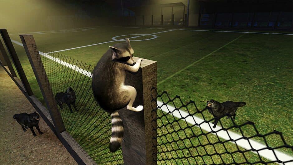 Raccoon Adventure screenshot