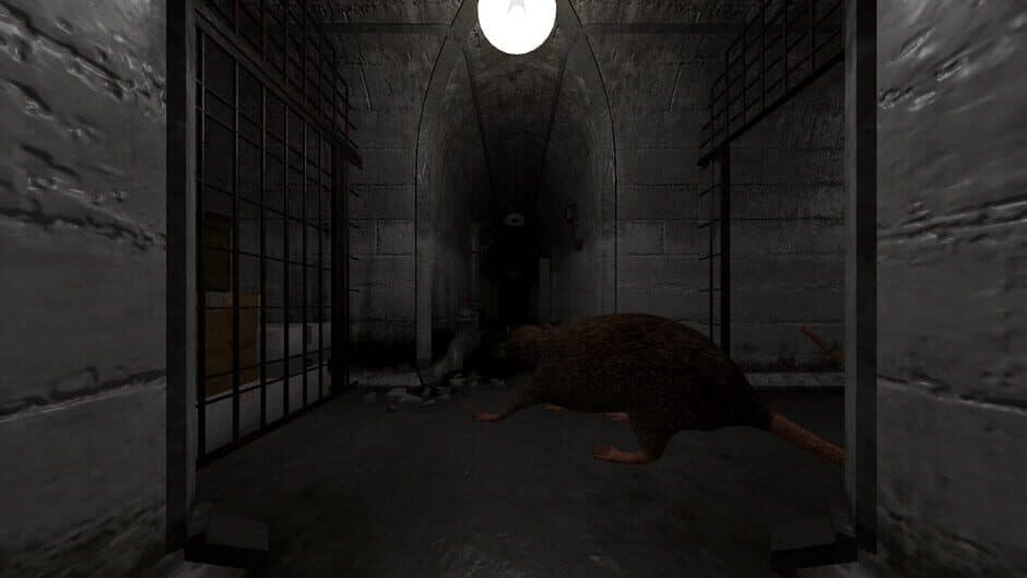 Scamper screenshot