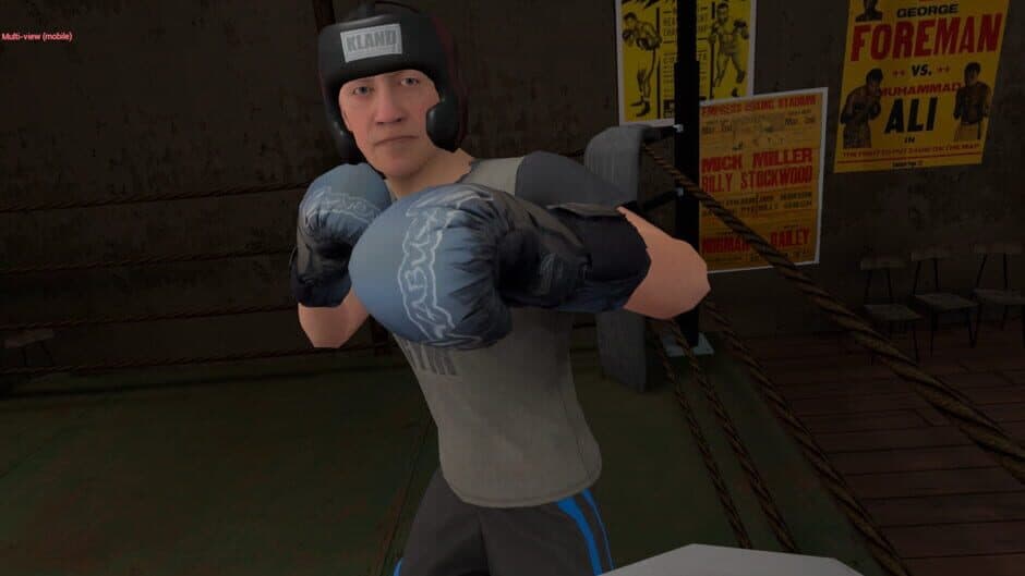 True Boxing VR screenshot