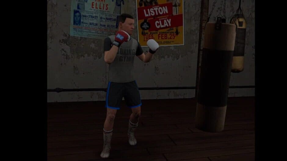 True Boxing VR screenshot