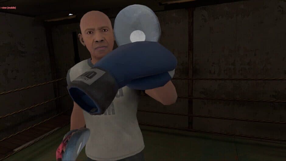 True Boxing VR screenshot