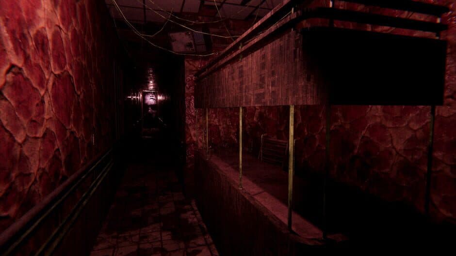 Sorrow Asylum 2 screenshot