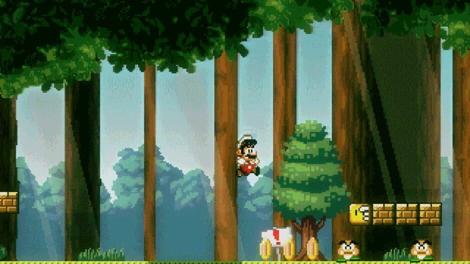 Super Mario Bros. Friends screenshot