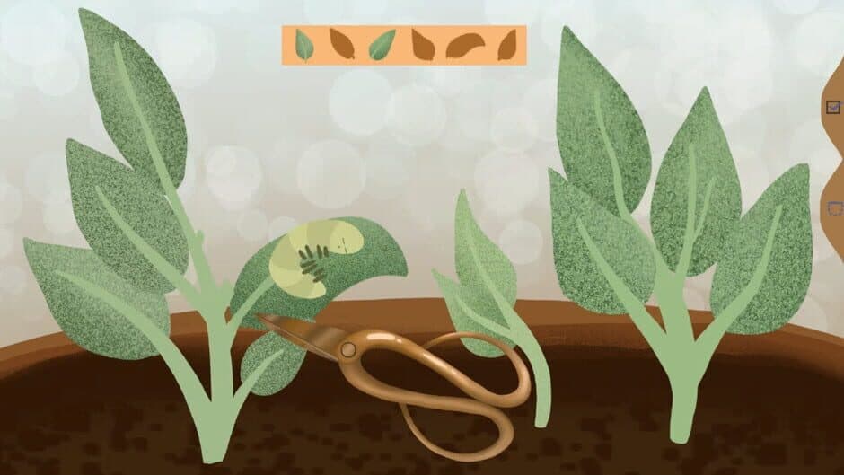 Tulip screenshot