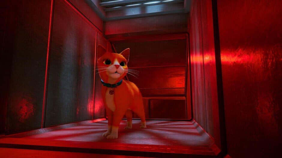 Schrodinger's Cat Burglar screenshot
