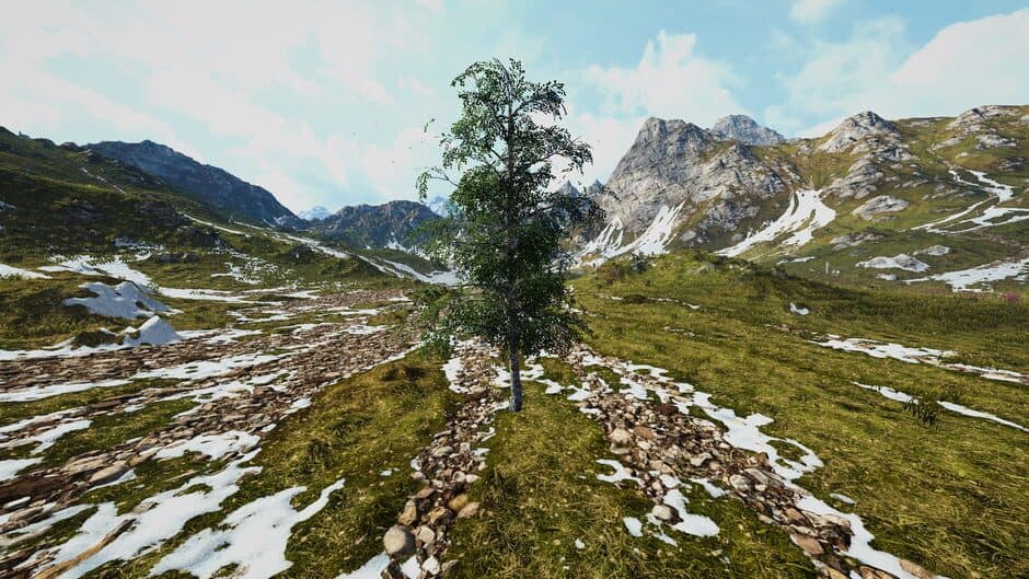 Birch Simulator screenshot