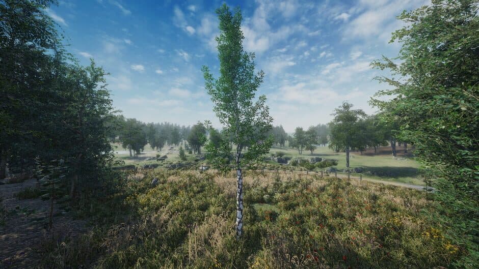 Birch Simulator screenshot