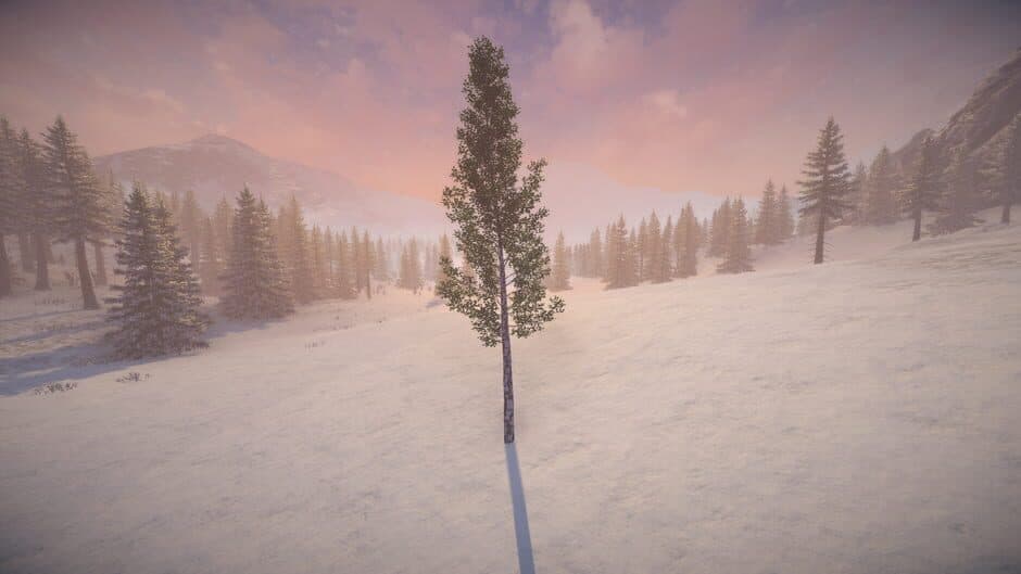 Birch Simulator screenshot