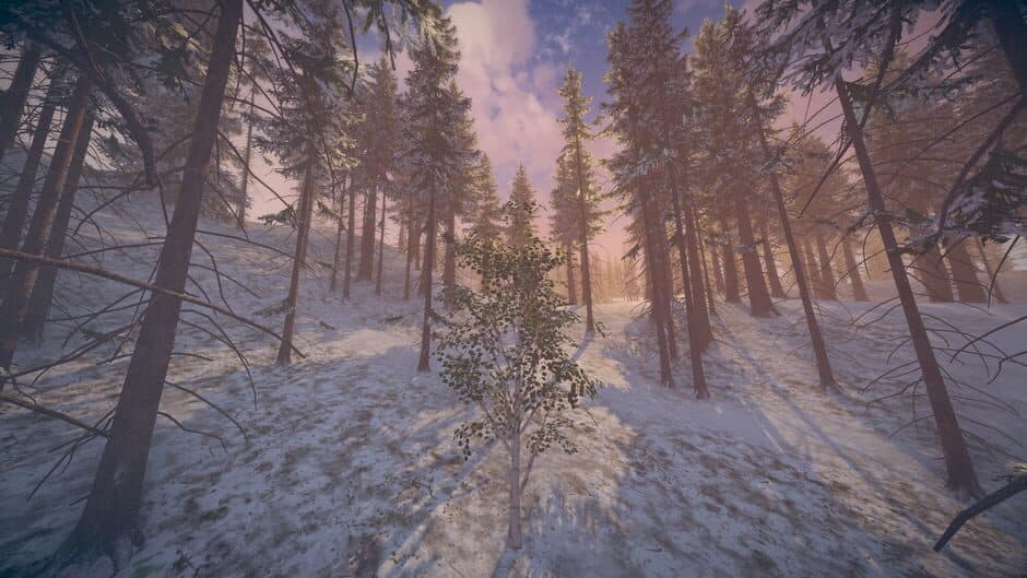 Birch Simulator screenshot