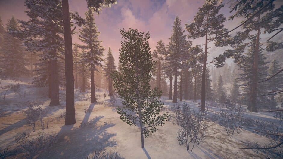 Birch Simulator screenshot