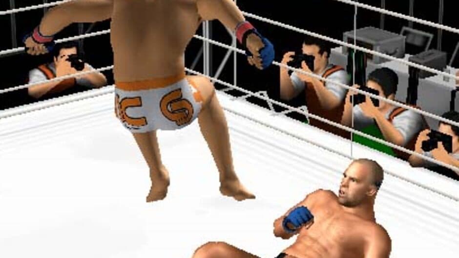 Pride FC: Fighting Championships screenshot