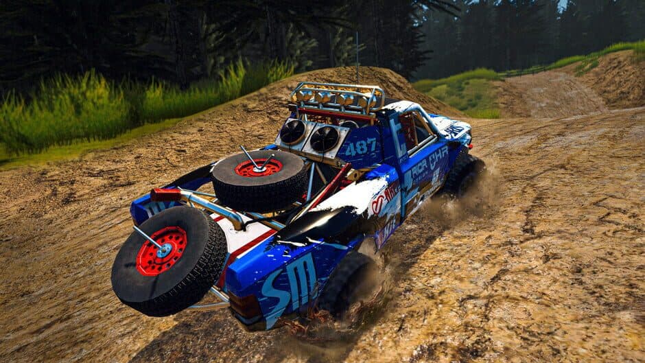 Rally Race: Offroad Simulator screenshot