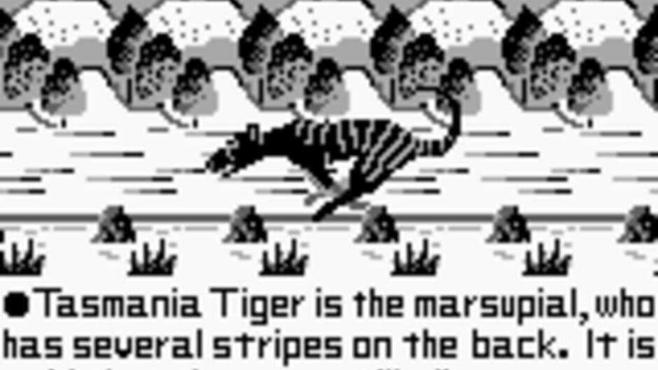 Tasmania Story screenshot