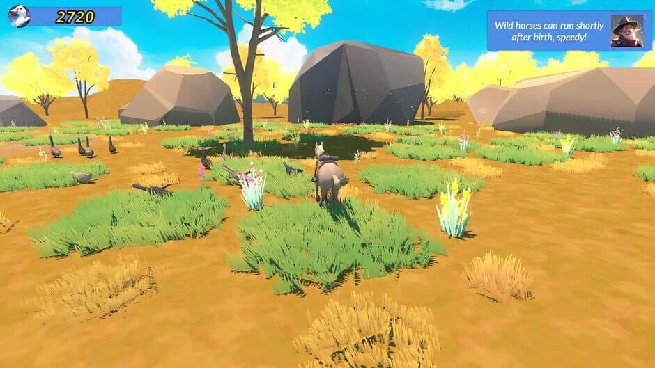 Meadow Gallop screenshot