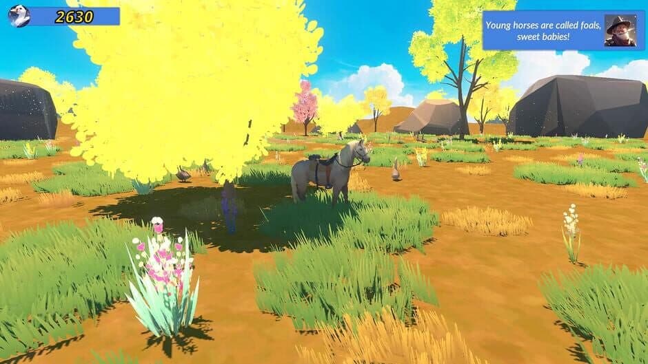 Meadow Gallop screenshot