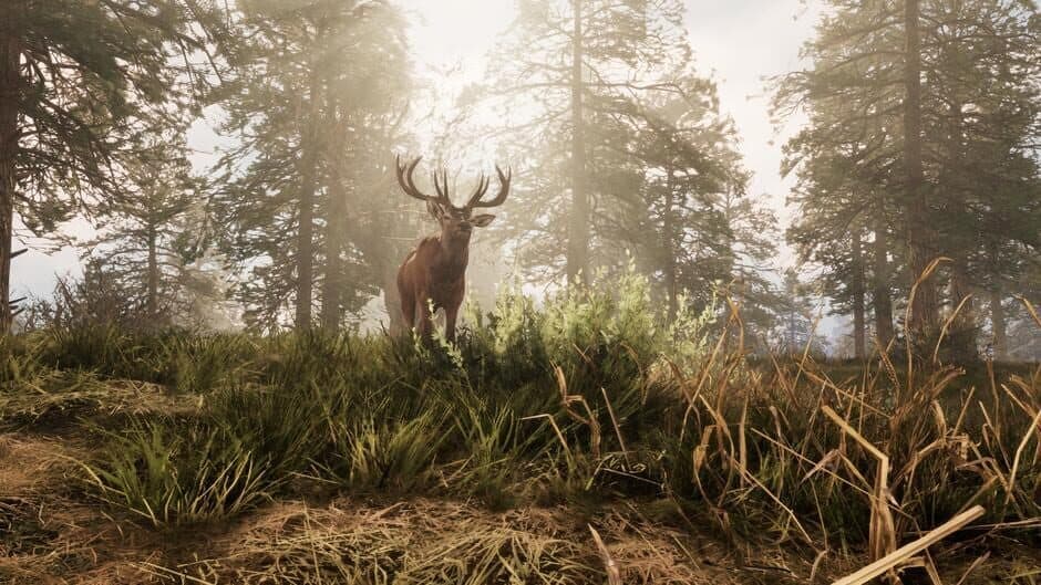 A Twisted Path To Renown screenshot
