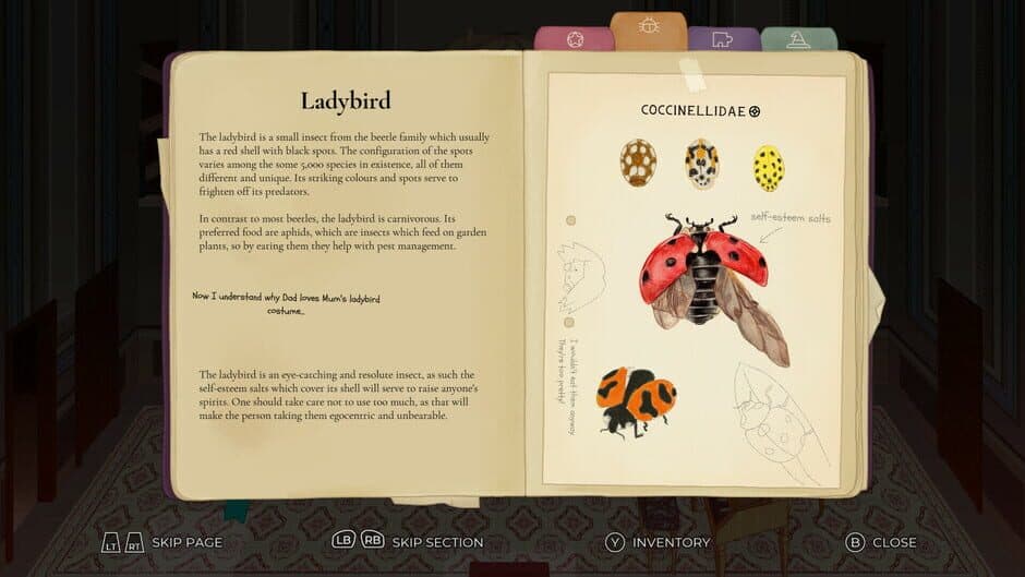 Clem: The First Attribute screenshot