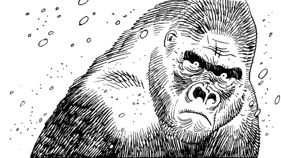 Bigfoot's Journey screenshot