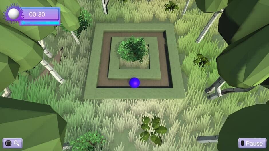 3D Color Labyrinth screenshot