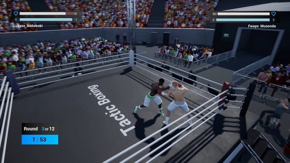 Tactic Boxing screenshot