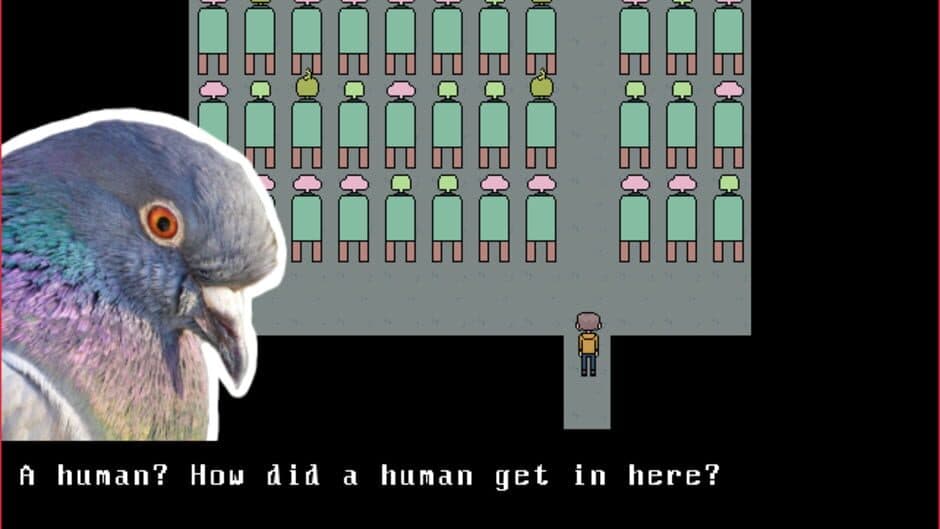 Birds of a Feather screenshot