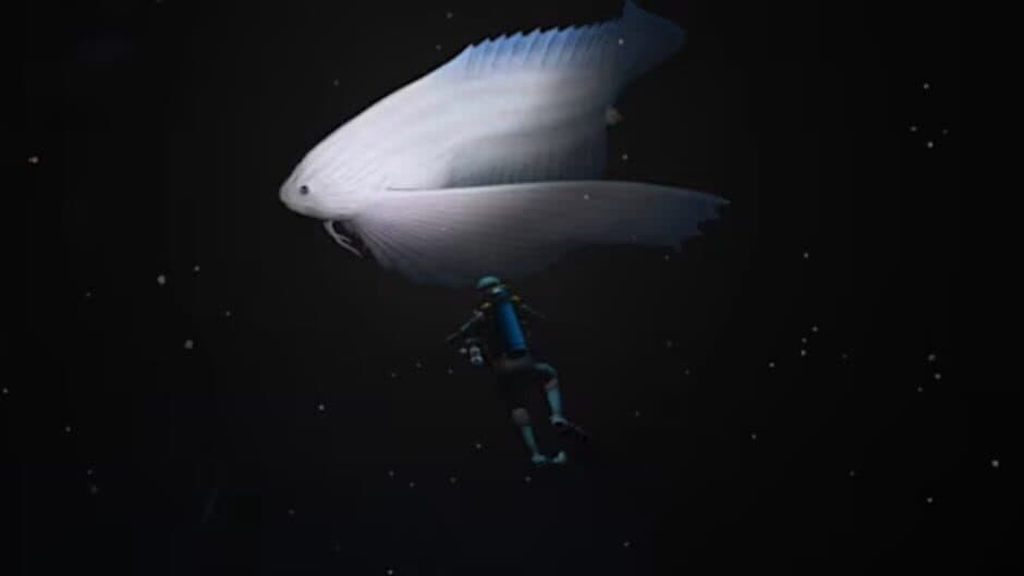 Endless Ocean: Luminous screenshot