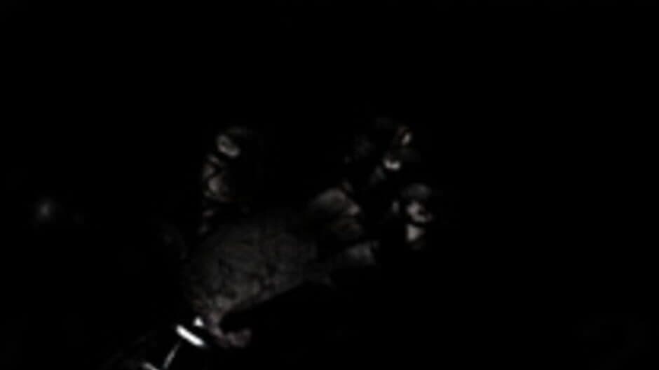 Five Nights at Fredbear's screenshot