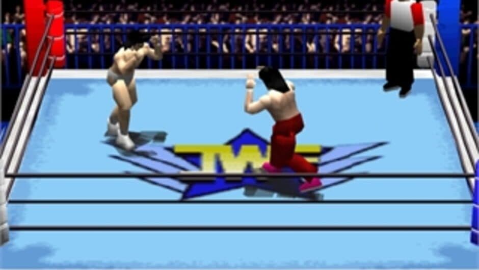 Pro Wrestling Sengokuden: Hyper Tag Match screenshot